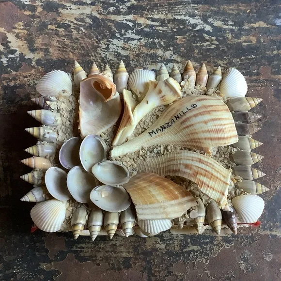 Vintage Manzanillo Mexico Souvenir Shell Box - Picture 1 of 9